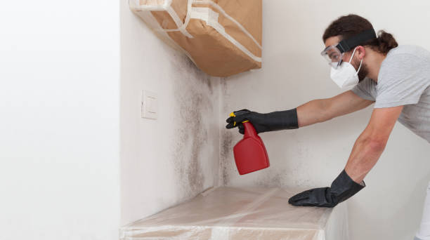 Professional Attic Mold Remediation technician working in Mount Freedom, NJ