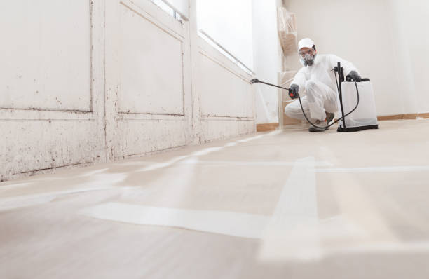 24/7 Emergency Attic Mold Remediation experts in Mount Freedom, NJ