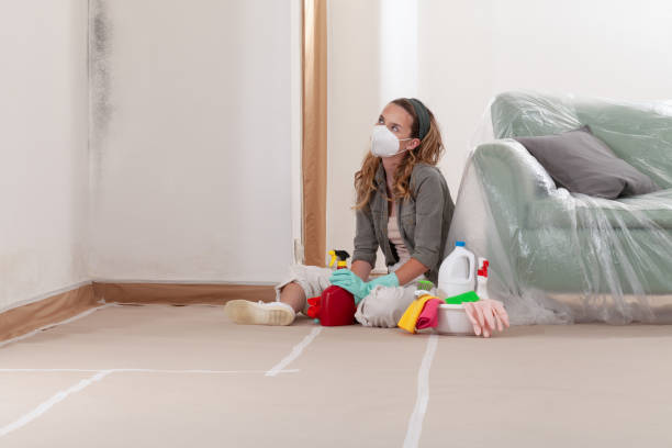 Reliable Attic Mold Remediation contractor in Mount Freedom, NJ by 24 Hour Mold Removal